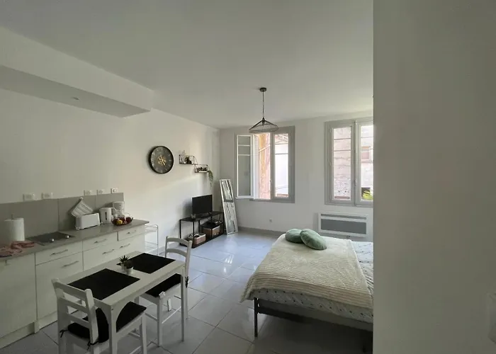 Au Pied Du Chateau 公寓 *