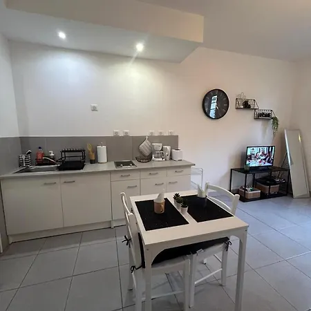 Au Pied Du Chateau Apartment Lourdes